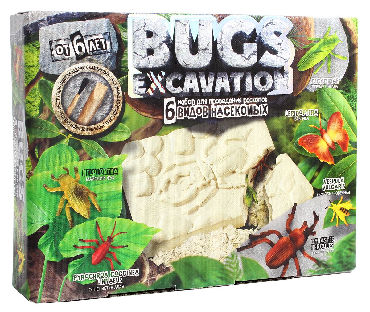     Bugs Excavation   3