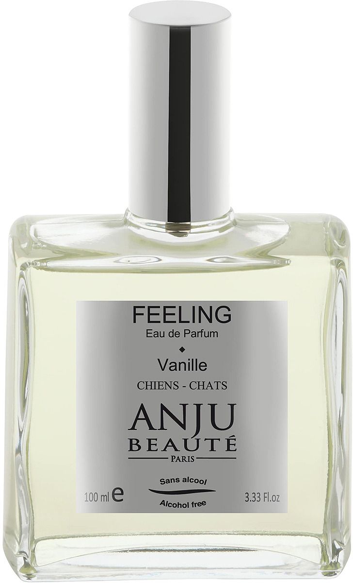      Anju Beaute Feeling Eau de Parfum , 100 
